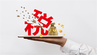 内资企业设立流程要多久